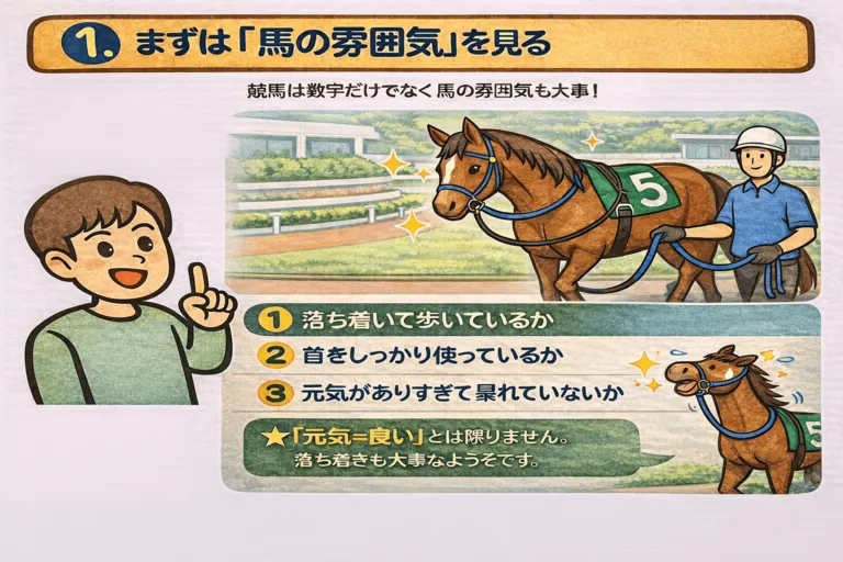 競馬新聞の見方入門：まずはここだけ押さえよう